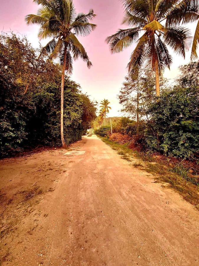 Le Nid De Bea Self-Catering Apartments La Digue Exterior foto