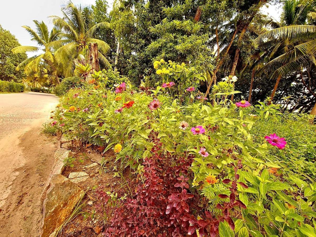 Le Nid De Bea Self-Catering Apartments La Digue Exterior foto